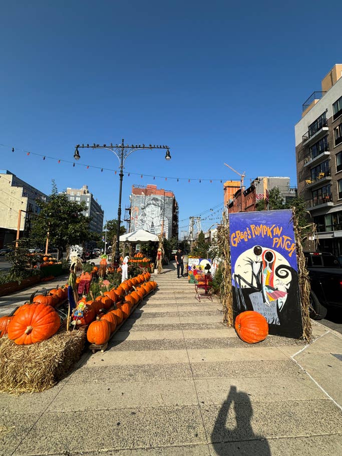 apple-iphone-15-test-photo