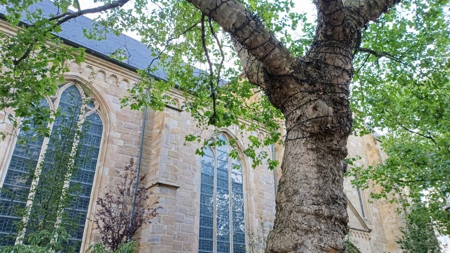 Test photo du Poco M6 Pro