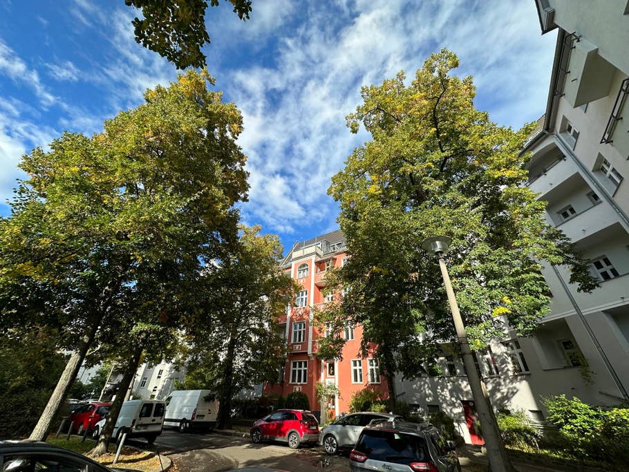 Apple iPhone 14 Pro Max test photo