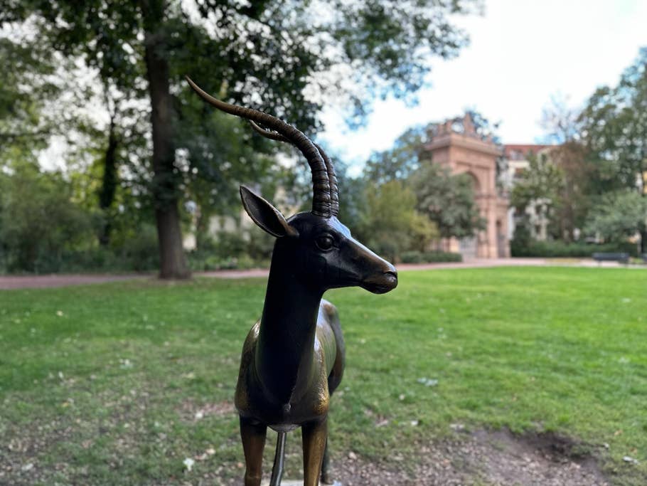 Apple iPhone 14 Pro Max test photo