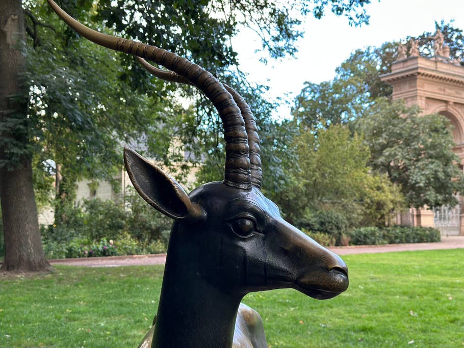 Apple iPhone 14 Pro Max test photo