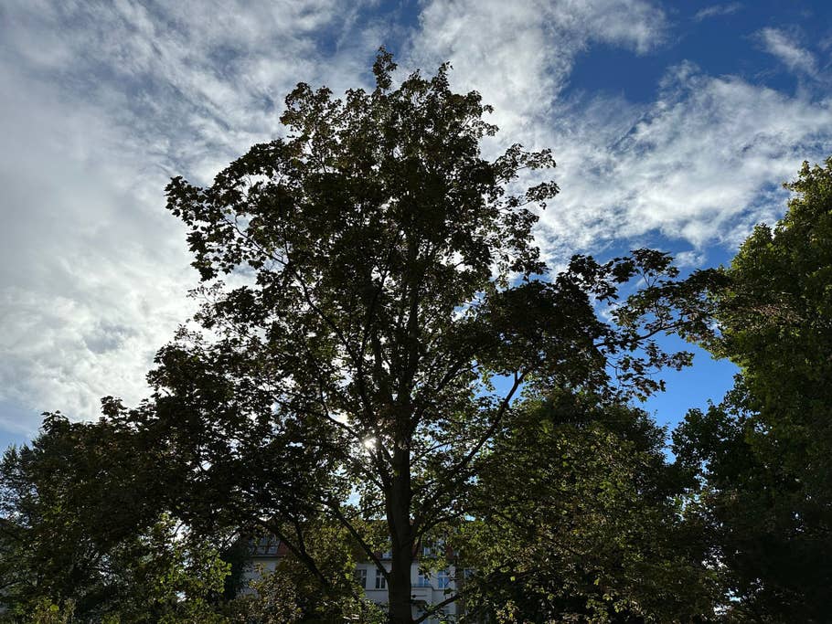 Apple iPhone 14 Pro Max test photo