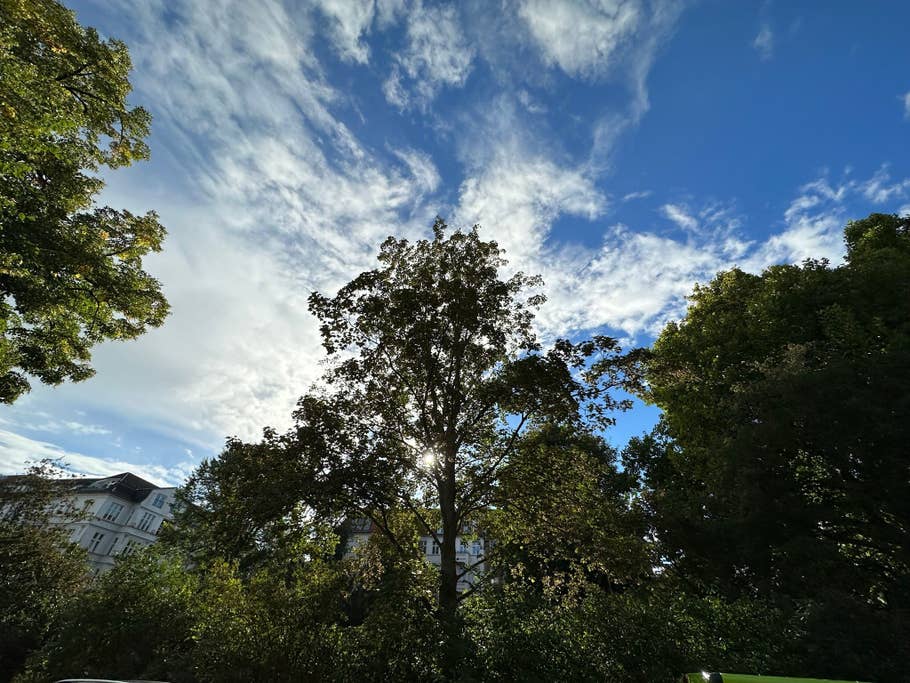 Apple iPhone 14 Pro Max test photo