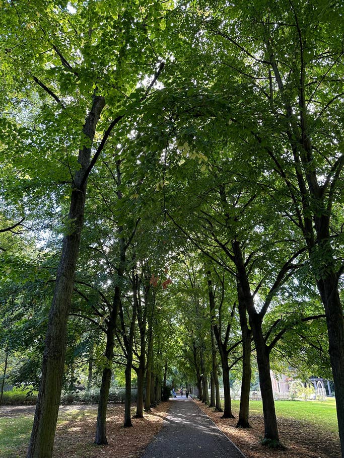 Apple iPhone 14 Pro Max test photo