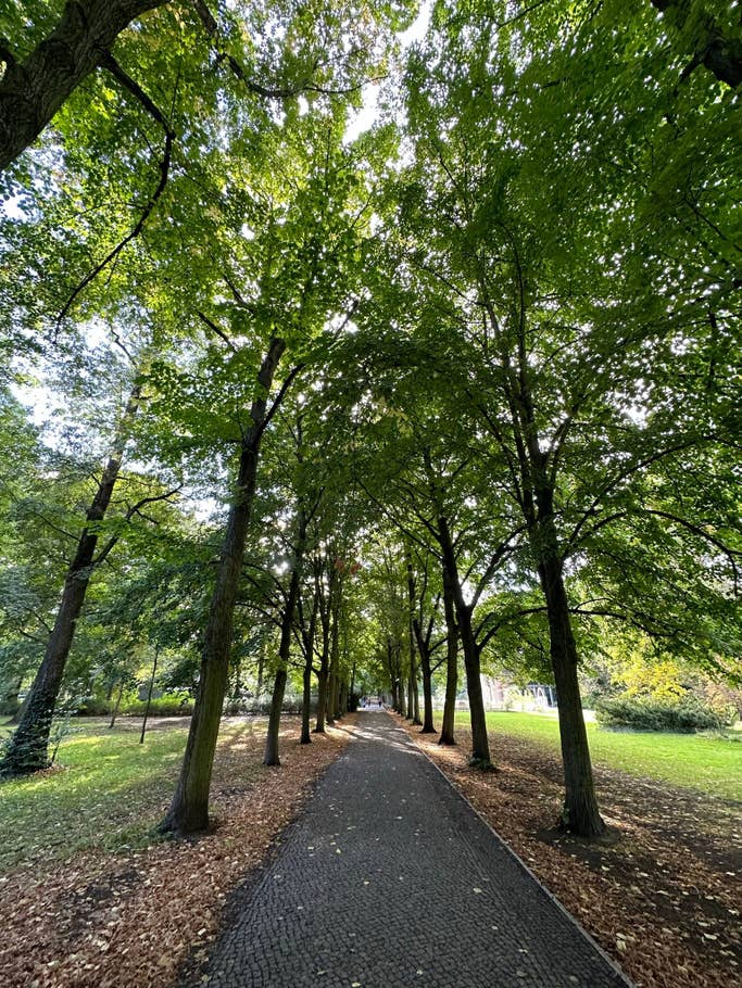 Apple iPhone 14 Pro Max test photo