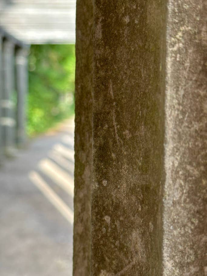 Apple iPhone 14 Pro Max test photo