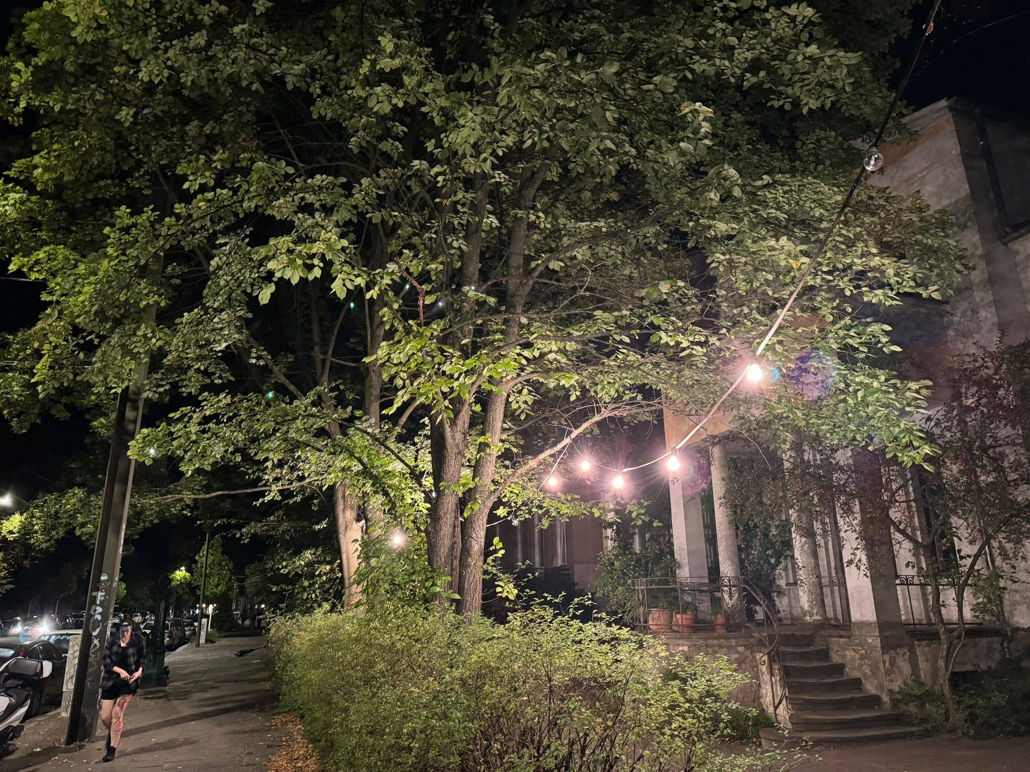Photo prise avec l'iPhone 15 Pro Max de nuit d'une rue éclairée par une guirlande accrochée à des arbres
