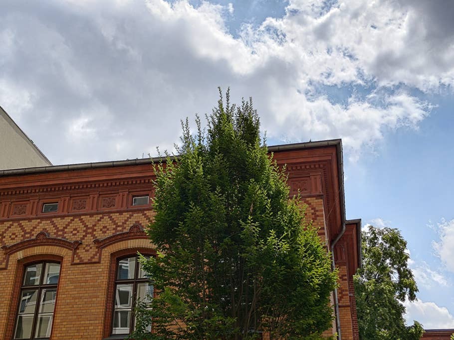 Asus ROG Phone 6 Pro Test Photo