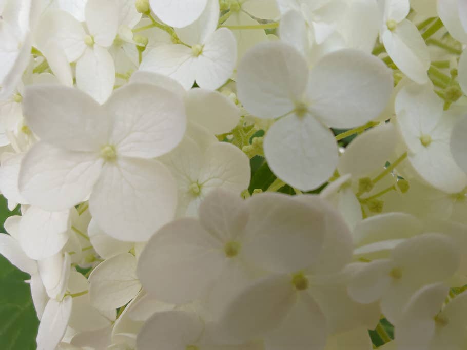 Asus ROG Phone 6 Pro Test Photo