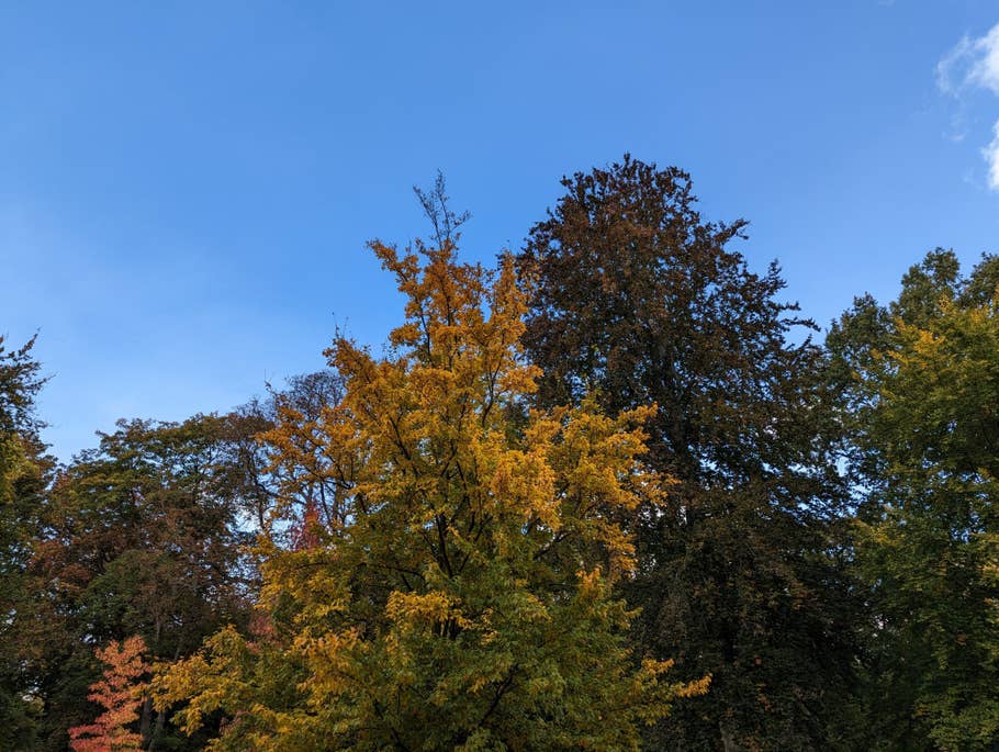 Google Pixel 7 test photo