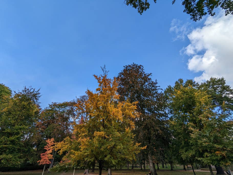 Google Pixel 7 test photo