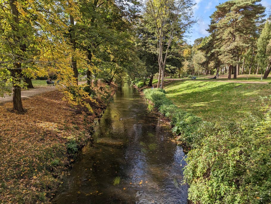 Google Pixel 7 test photo