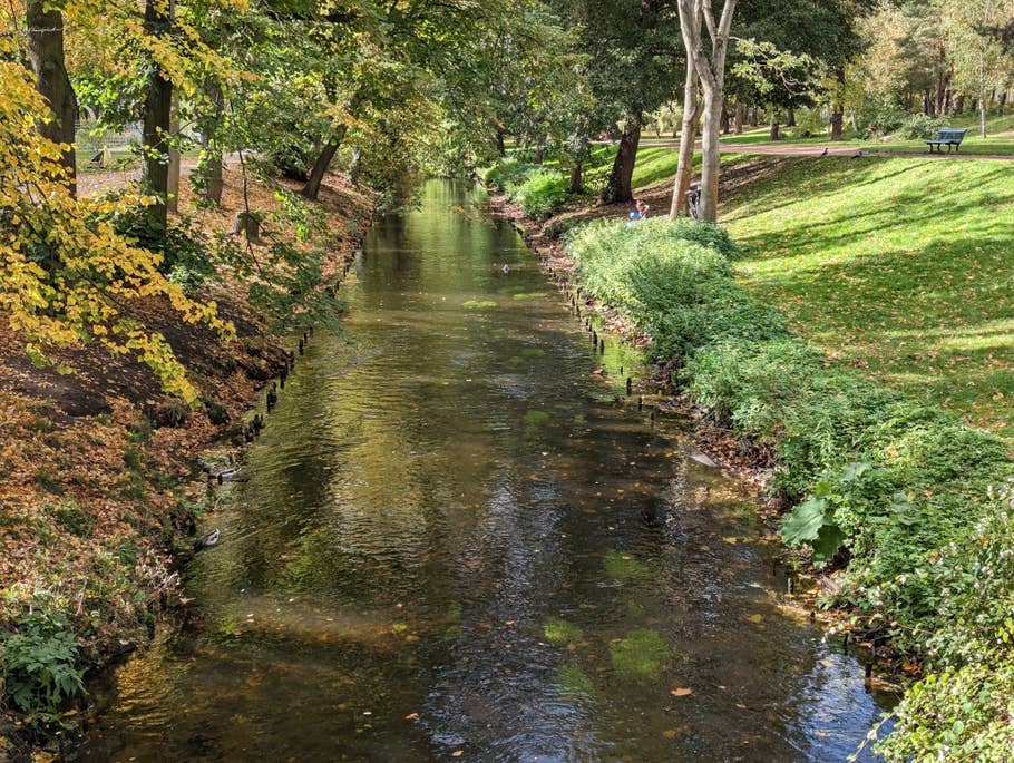 Google Pixel 7 test photo