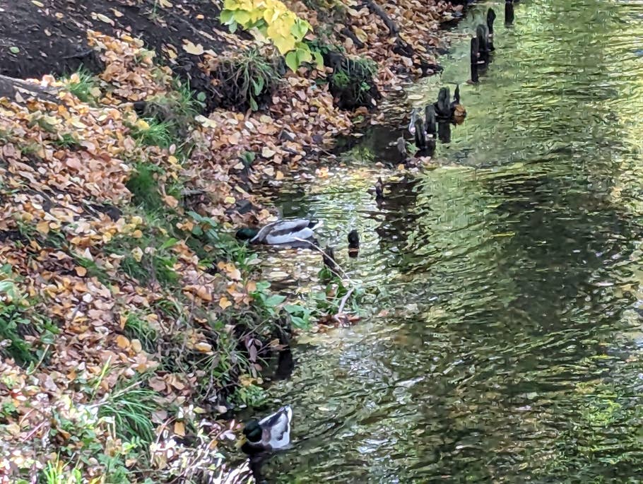 Google Pixel 7 test photo