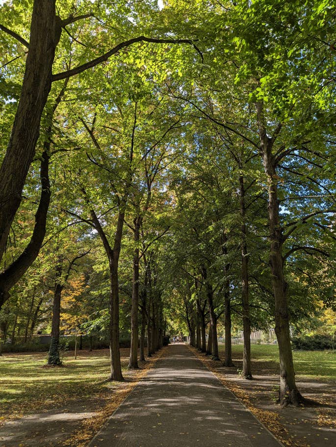 Google Pixel 7 test photo