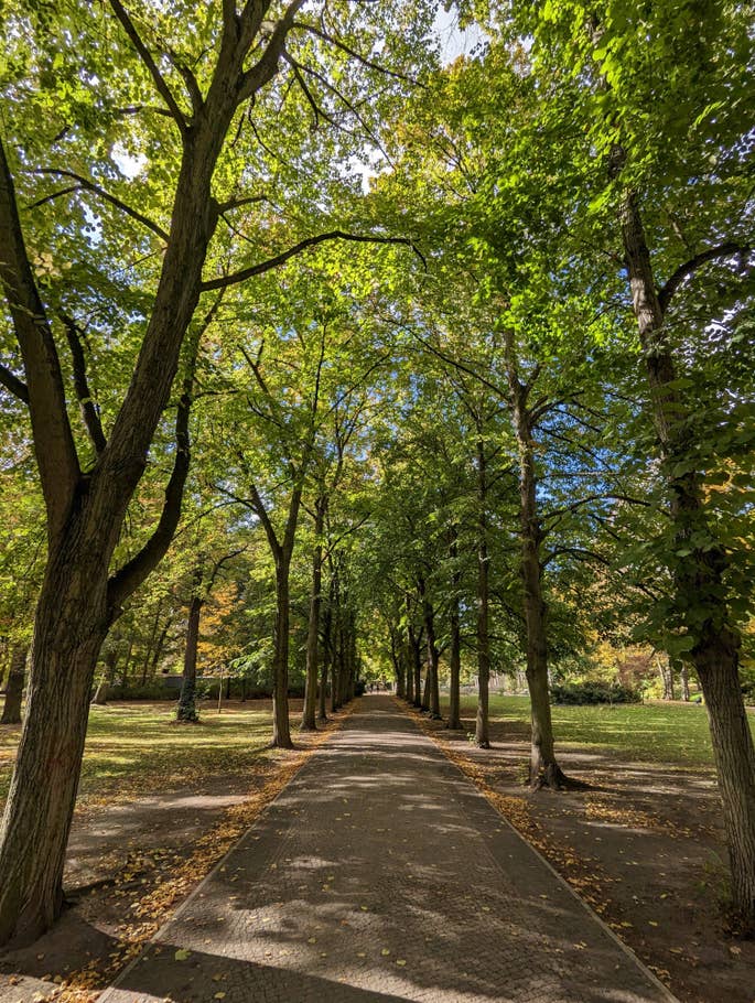 Google Pixel 7 test photo