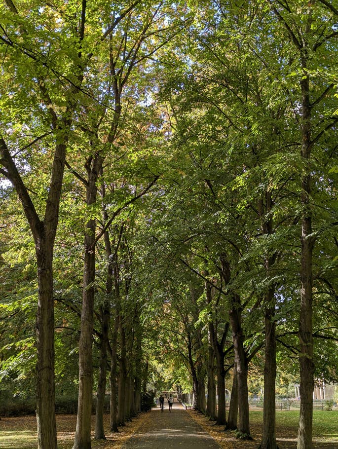 Google Pixel 7 test photo