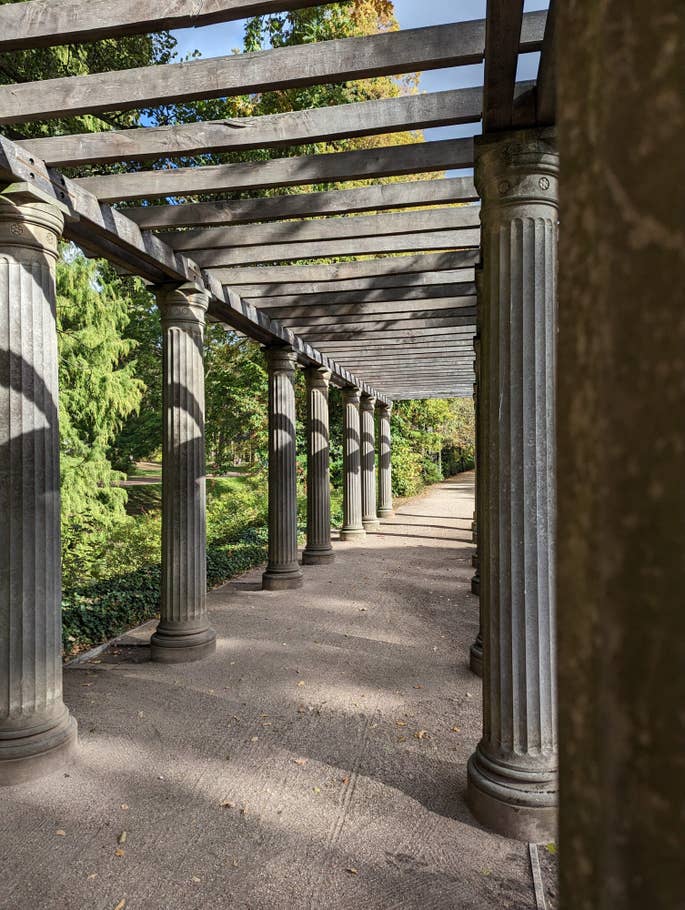 Google Pixel 7 test photo