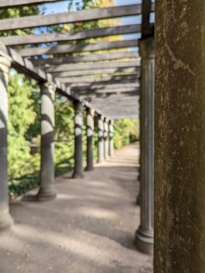 Google Pixel 7 test photo