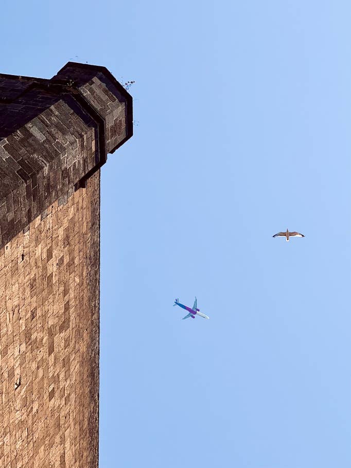 photos-smartphone-conseils-20