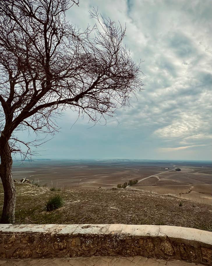 photos-smartphone-conseils-11