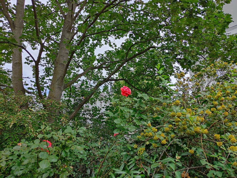 Realme GT 2 Pro test photo