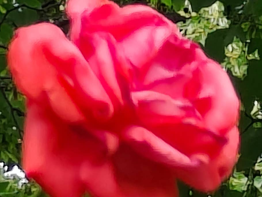 Realme GT 2 Pro test photo