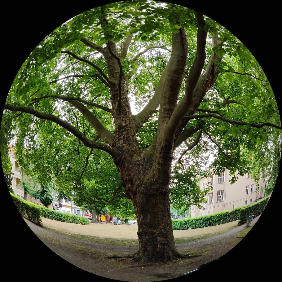 Realme GT 2 Pro test photo