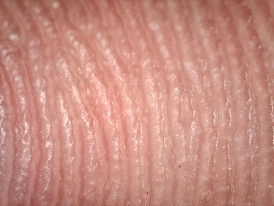 Realme GT 2 Pro test photo