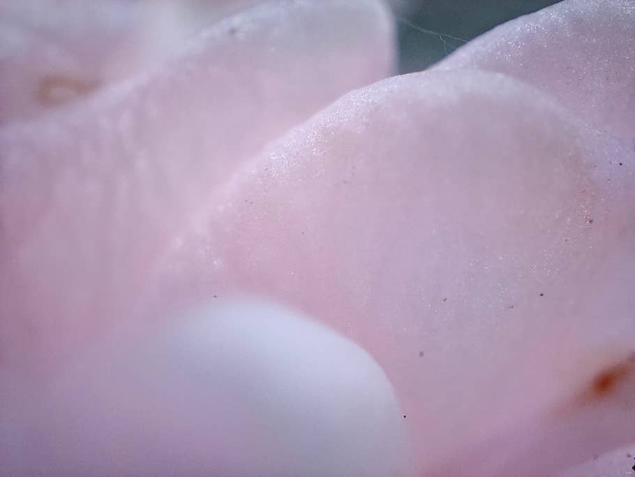 Realme GT 2 Pro test photo