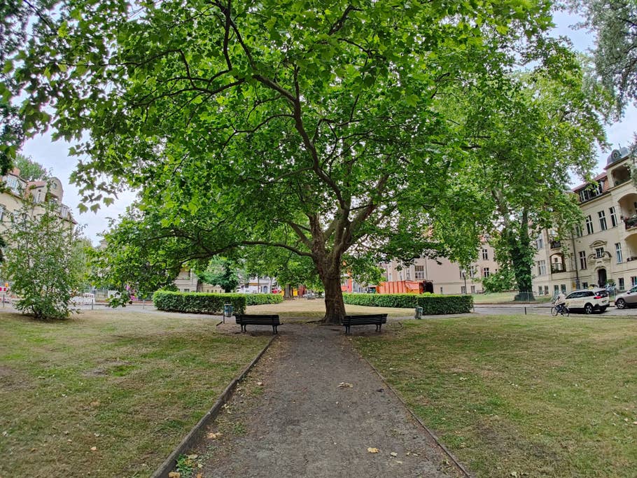 Realme GT 2 Pro test photo