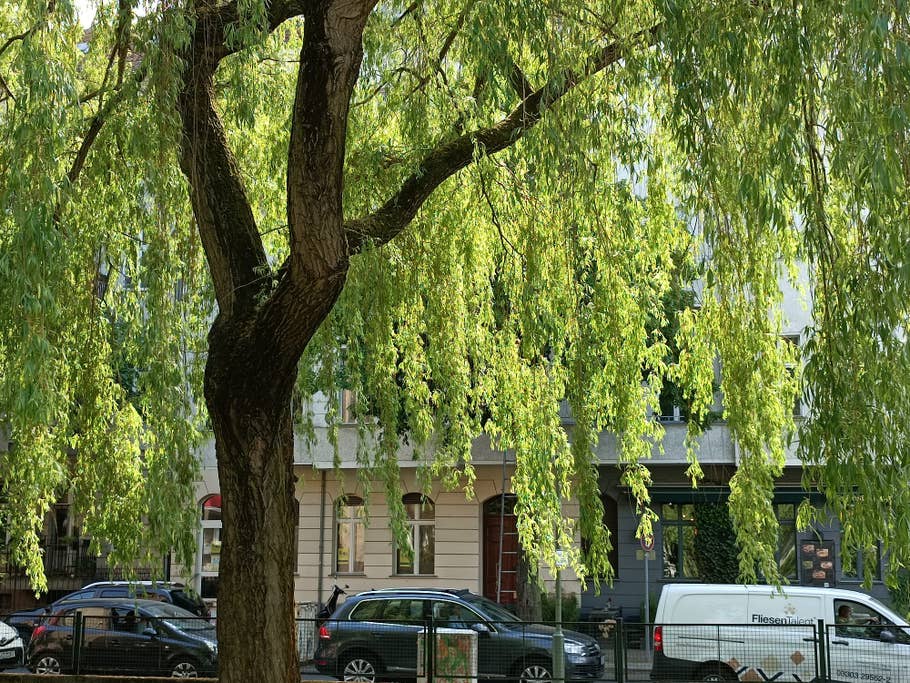 Xiaomi Redmi Note 11 Pro Plus 5G Test photo