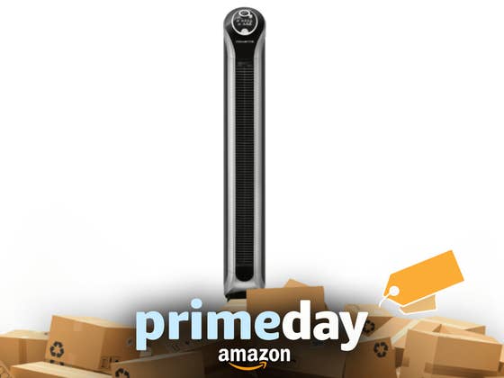 Prime Day: Un vent d’air frais entre deux promos super chaudes avec ce ventilateur Rowenta à -15%