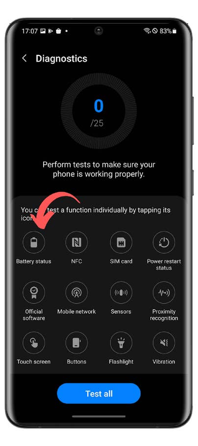 Écran affichant les options de diagnostic avec le statut de la batterie en surbrillance.
