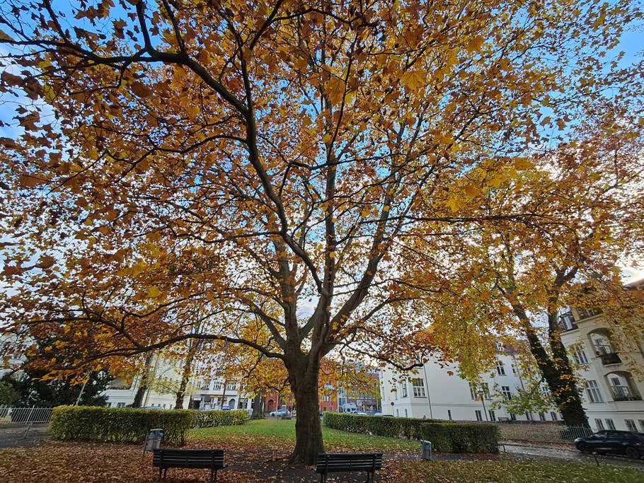 Une photo prise de jour avec lu0027objectif ultra grand angle de la Samsung Galaxy Tab S9 Ultra