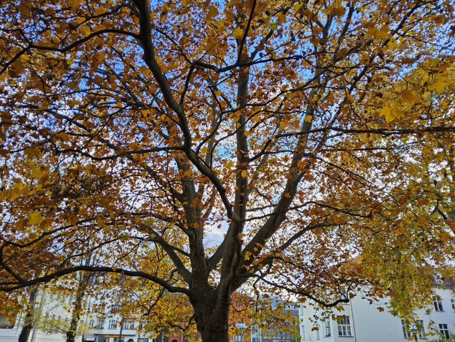 Une photo prise de jour avec lu0027objectif principal grand angle de la Samsung Galaxy Tab S9 Ultra