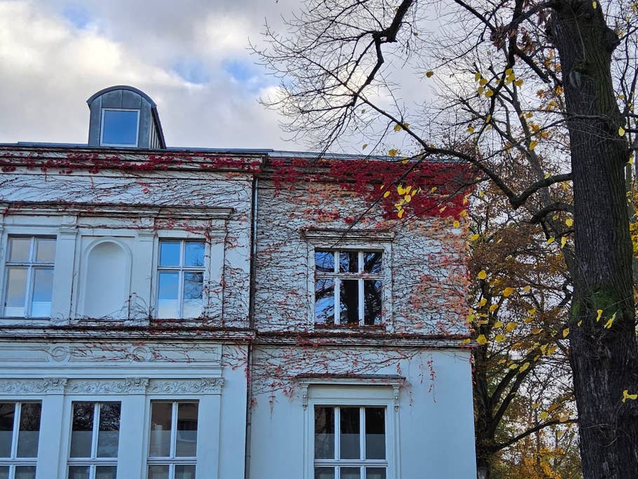 Photo prise de jour avec lu0027objectif principal de la Samsung Galaxy Tab S9 Ultra en zoom numérique x2