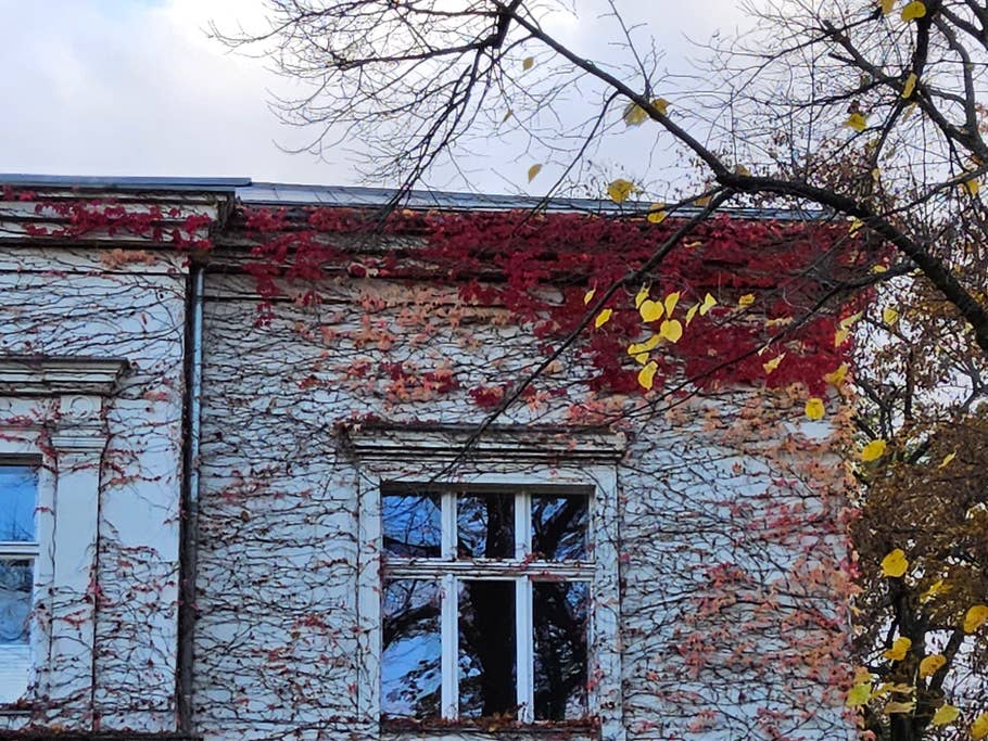 Photo prise de jour avec lu0027objectif principal de la Samsung Galaxy Tab S9 Ultra en zoom x4