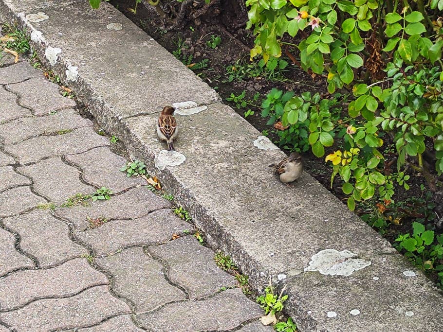 Xiaomi 12T Pro test photo