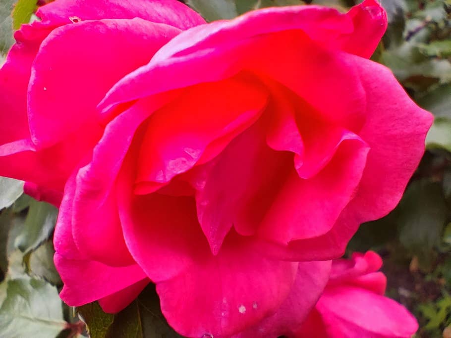 Xiaomi 12T Pro test photo