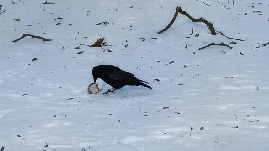 Test photo du Redmi Note 13 5G