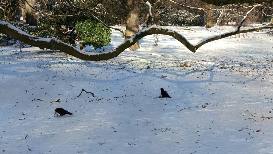 Test photo du Redmi Note 13 5G