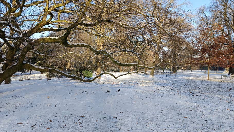 Test photo du Redmi Note 13 5G