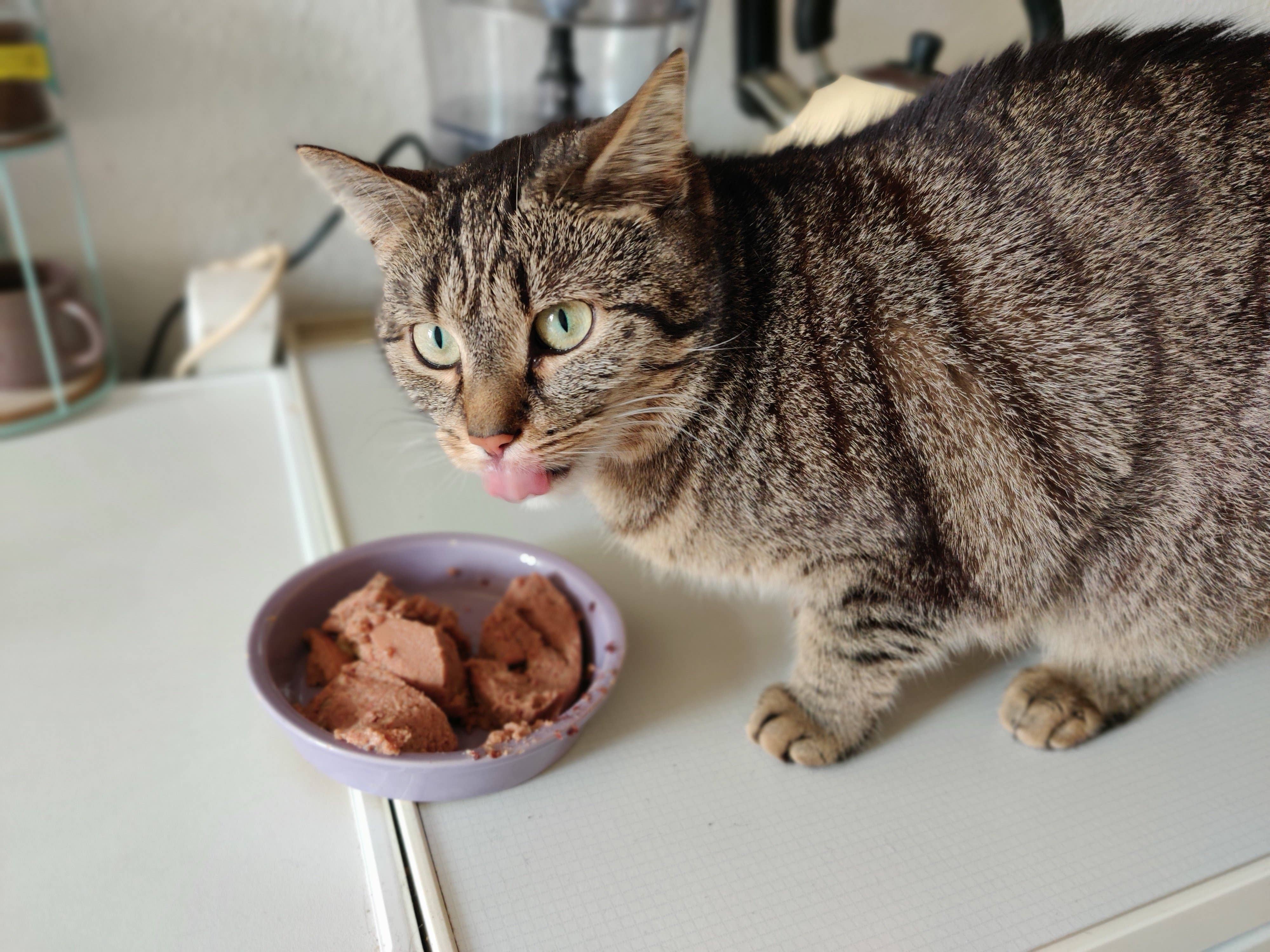 oneplus 7 test picture bokeh