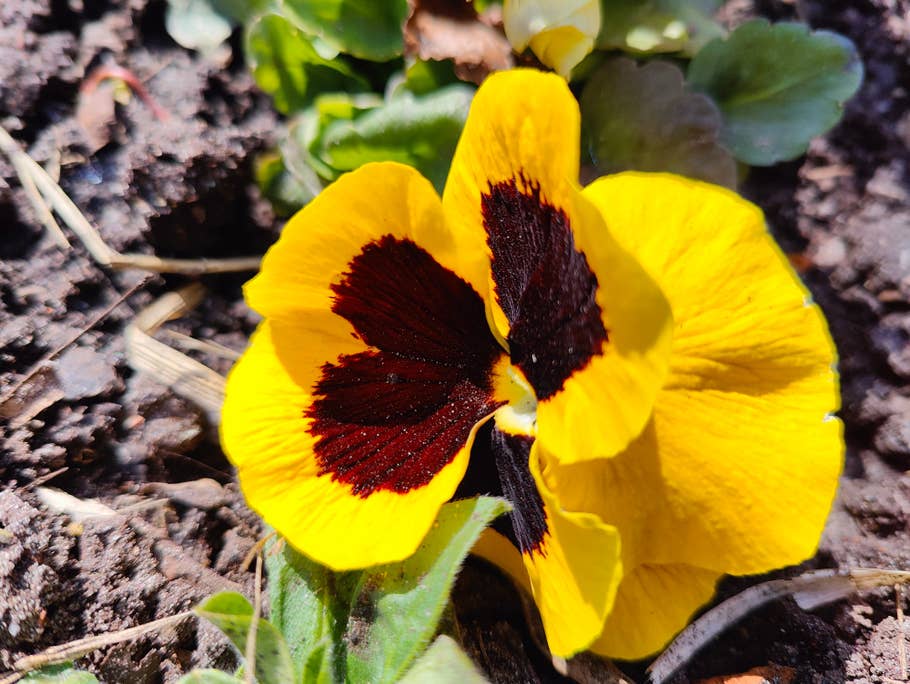 oneplus-10-pro-test-photo