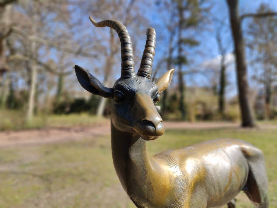 oneplus-10-pro-test-photo