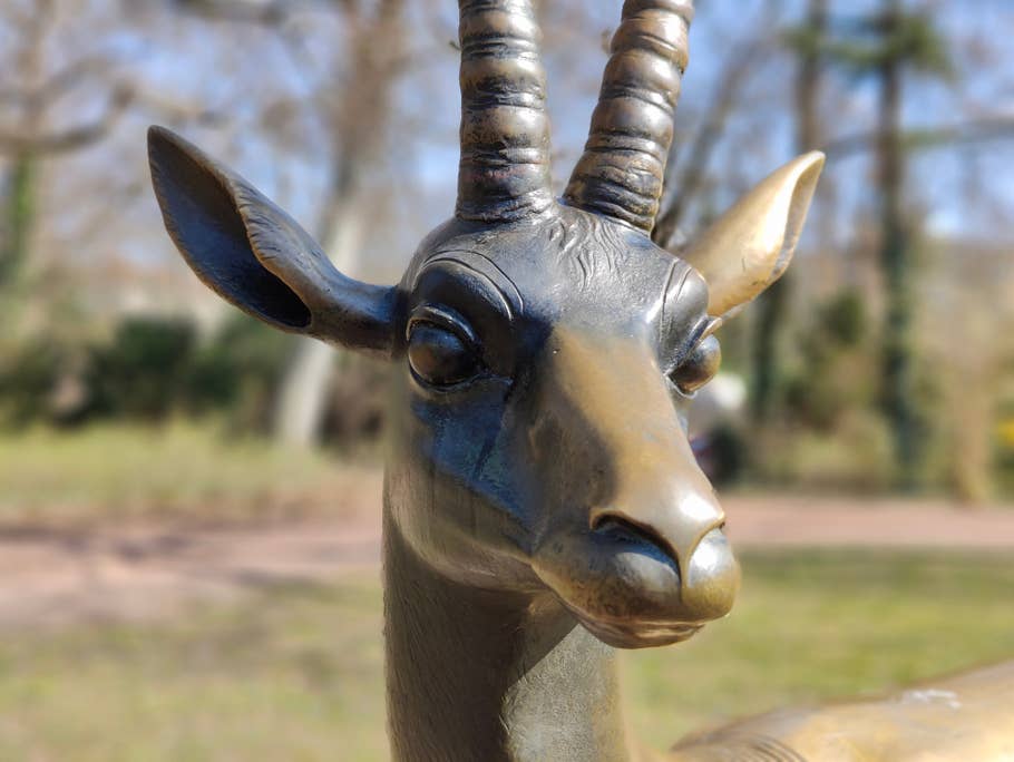 oneplus-10-pro-test-photo