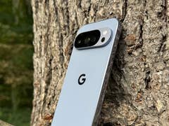 Un smartphone Google Pixel 10 Pro reposant contre un tronc d'arbre.