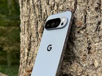 Un smartphone Google Pixel 10 Pro reposant contre un tronc d'arbre.