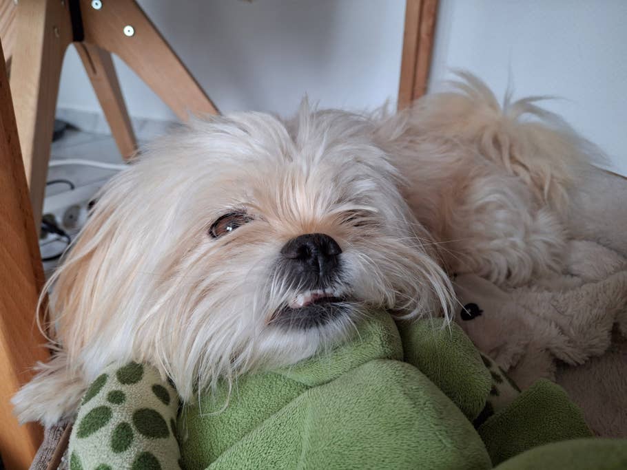 Samung Galaxy A35- Test photo